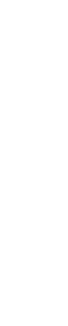 もっと薬膳を日常に、日常からもっと健康に。「国際薬膳茶師 依田恭平 オフィシャルサイト」